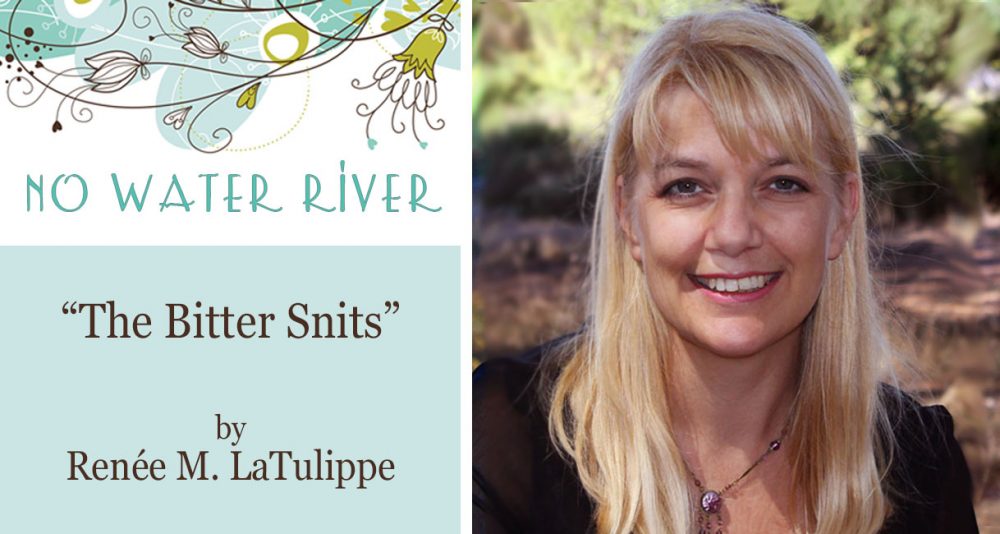 "The Bitter Snits" by Renee M. LaTulippe